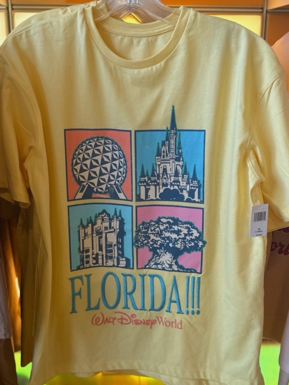 Disney Parks icons/swiftie shirt